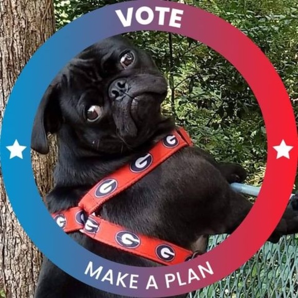 Meet your Posher, Clara - Picture 1 of 1